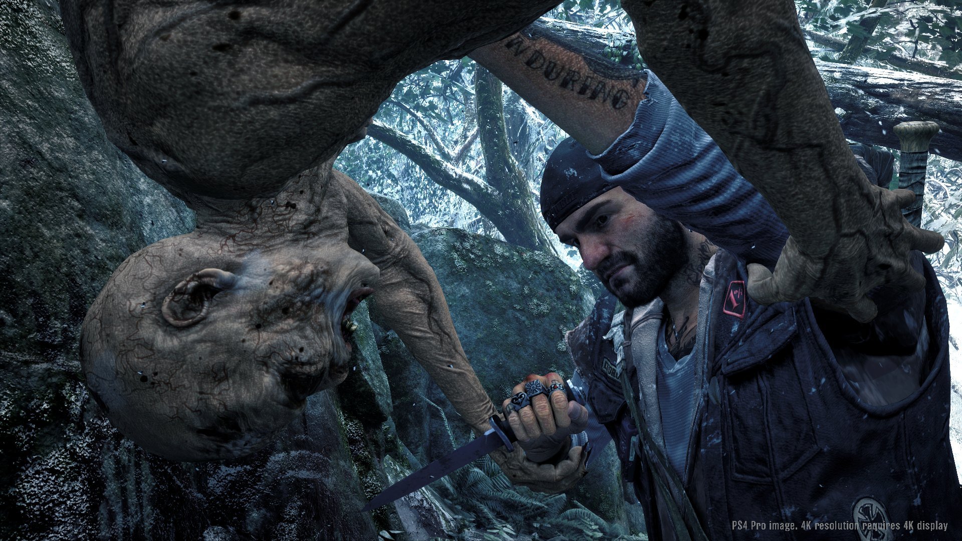 Days Gone - Imagen 16